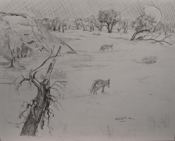Coyotes along cheyenne River drawing by Jason Burris